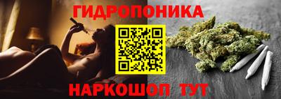 соль ск Будённовск