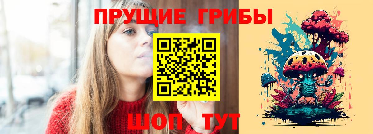 Псилоцибиновые грибы Psilocybine cubensis Ярославль